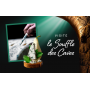 Visite "Le Souffle des Caves"